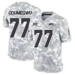 Kenneth Odumegwu Seattle Seahawks Limited Men's 2024 Salute to Service Jersey (Arctic Camo)